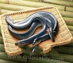 Linfen eel