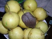 Shangge xiaobai pear