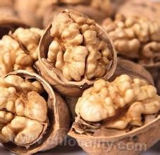 Walnut in Zuo Quan