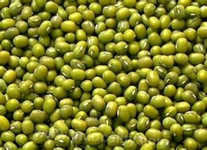 Daming mung bean