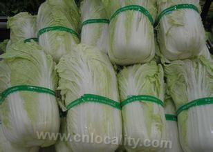 Lanxian cabbage