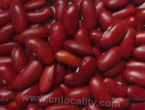 Pure red kidney bean