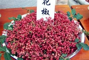 Pepper in Yuxian county