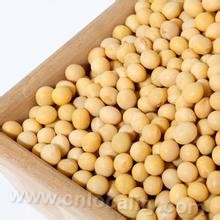 Yuanping soybean