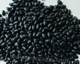 Shenchi black beans