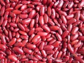 Kelan red kidney bean