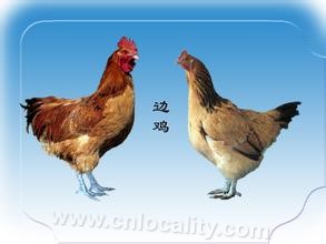 Youyubian chicken