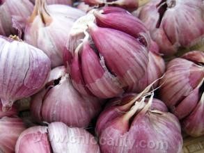 Yingxian purple garlic