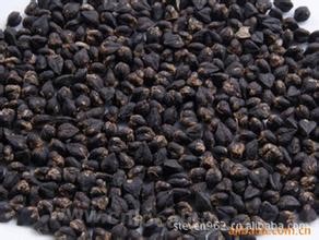 Guangling black tartary buckwheat