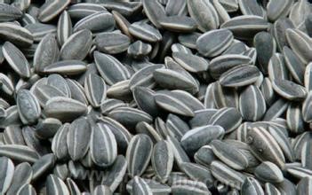 Guangling sunflower seed