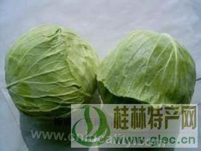 Yanggao cabbage