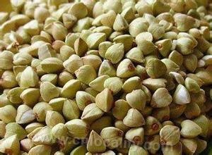 Buckwheat in Chifeng