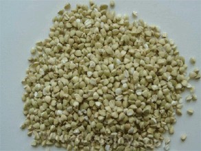 Buckwheat in Inner Mongolia