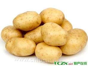 Xinghe potato