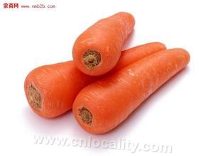 Inner Mongolia carrot