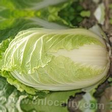 Hetao Chinese cabbage