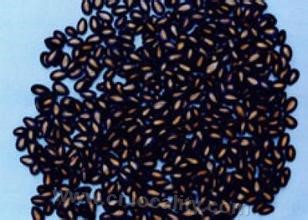 Hetao black melon seed