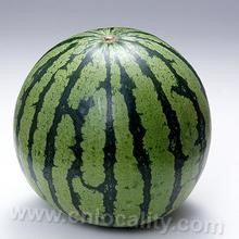 Hetao watermelon