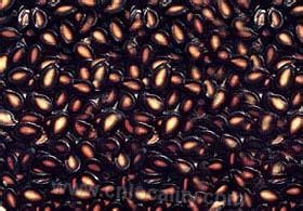 Hinggan league black melon seed