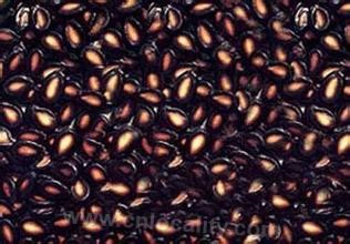 Inner Mongolia black melon seed