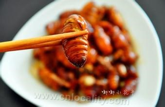 Spiced silkworm chrysalis