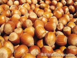 Zhalantun hazel nut