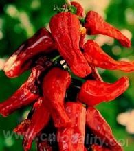 Yiliuwan red pepper