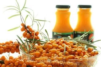 Seabuckthorn oil products