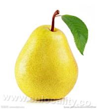 a kind of pear grown in Hebei Province