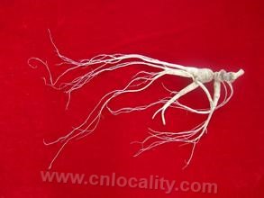 Ginseng in Huanren