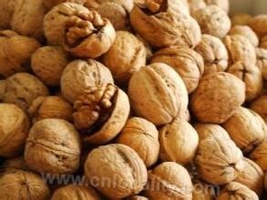 Jianchang walnut