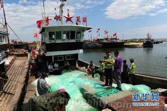 Huludao-jellyfish