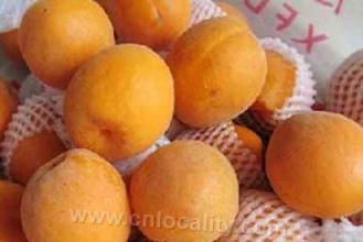 Huangtukan apricot