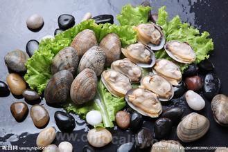 Clam variegated in Donggang