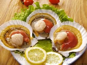 Dalian scallop (Chlamys yessoensis)