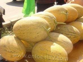 Guyanmi melon