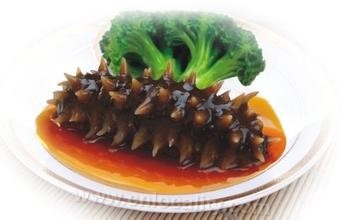 Dalian sea cucumber