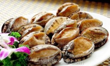 Dalian abalone