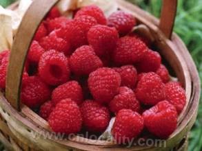 Dongling red raspberry