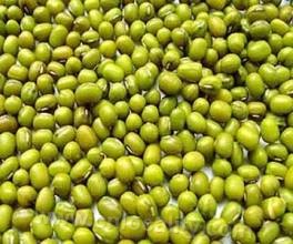 Da Ying Ge Mung Bean (graphic)