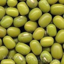 Baicheng mung bean