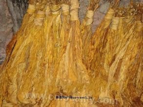 Baicheng flue-cured tobacco