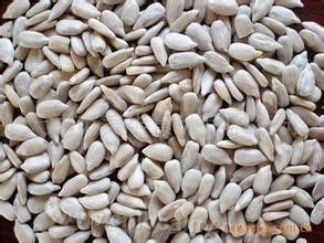 Sunflower seed kernel