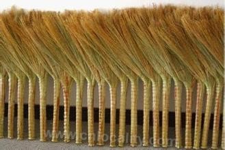 Broom, broomcorn millet and broom