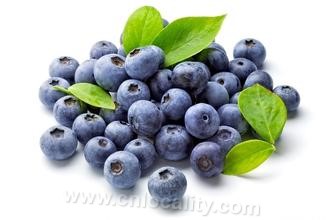 Changbai mountain blueberry