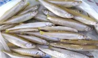 Small white fish in Hulun Lake