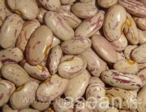 Hulunbeier kidney bean