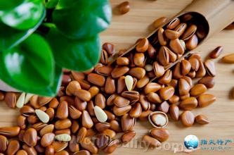 Linkou pine nuts