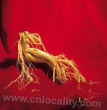 Dongan ginseng