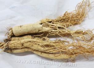 red ginseng